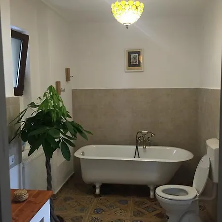 Apartament Celest Apartment Brasov