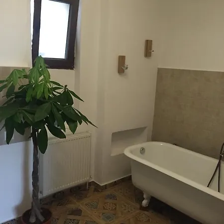 Apartament Celest Apartment